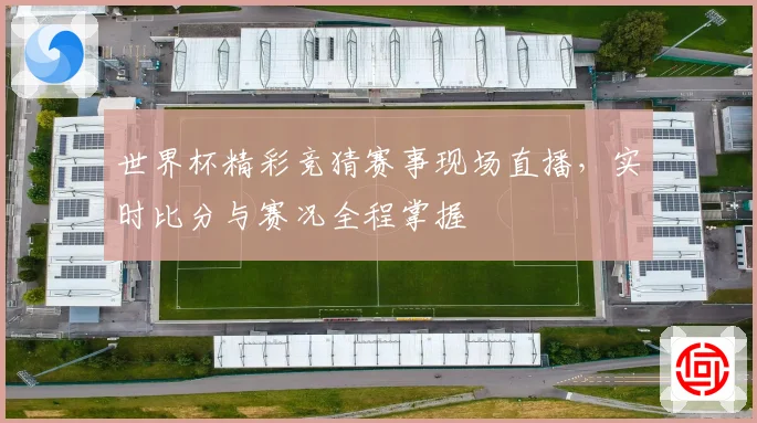 世界杯精彩竞猜赛事现场直播，实时比分与赛况全程掌握
